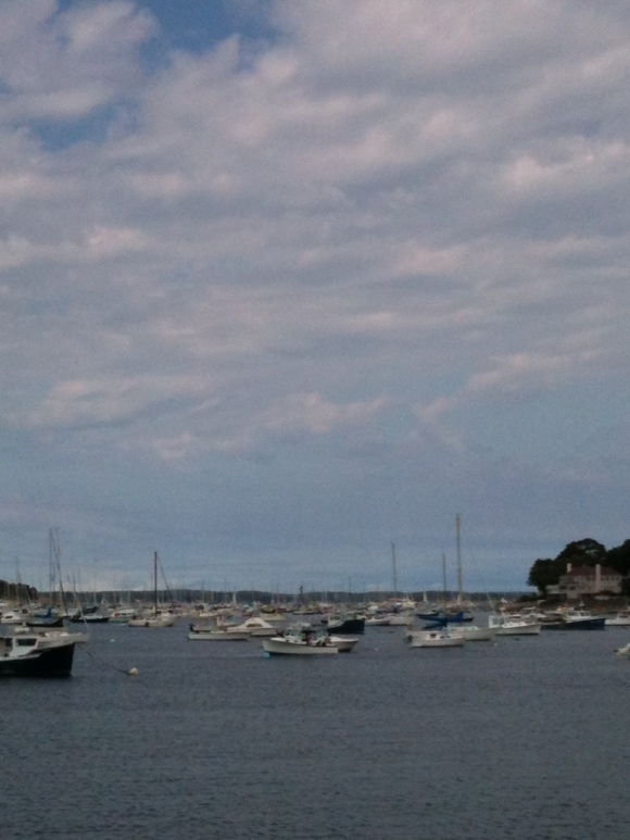 a picture of Marblehead harbour from our last trip to marblehead. | photo by riley.